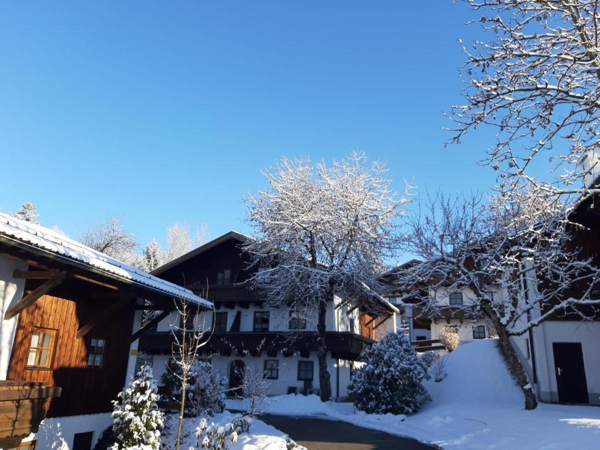 Ferienwohnung Freudensee Im Bayerischen Wald - Pool, Sauna Хауценберг Экстерьер фото